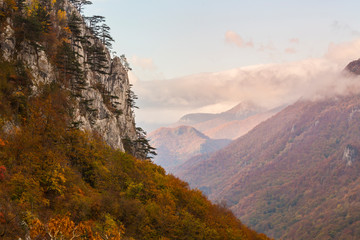Fototapeta premium Beautiful autumn scenery in the mountains with mist clouds, pine trees and colorful foliage