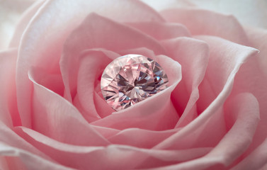 Diamond on a Pink Rose