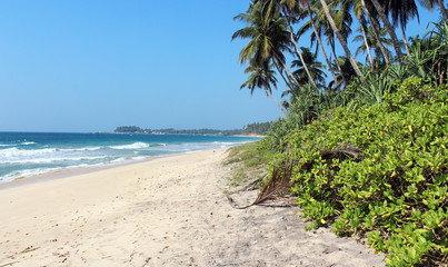 srilanka beach