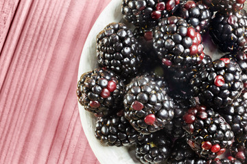 Wild blackberries