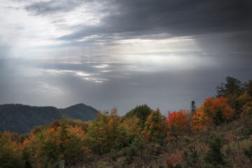 Fototapeta premium sun's rays illuminate the surface of the sea through the clouds