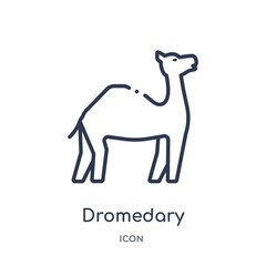 dromedary icon from religion outline collection. Thin line dromedary icon isolated on white background.