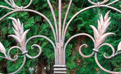 Close up pattern of wrought iron fence gate with nature background.