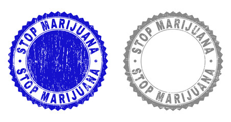 Grunge STOP MARIJUANA stamp seals isolated on a white background. Rosette seals with grunge texture in blue and gray colors. Vector rubber stamp imprint of STOP MARIJUANA tag inside round rosette.