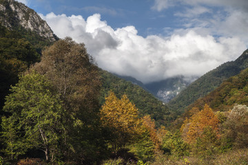 Mountain range overgrown with forest in autumn day