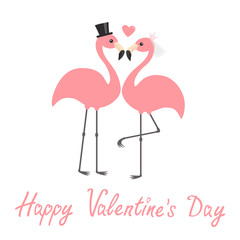 Happy Valentines Day. Pink flamingo set. Wedding couple. Exotic tropical bird. Black hat, veil, heart. Bride and groom. Cute cartoon character. Zoo animal. Flat design. White background.