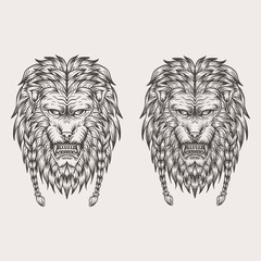 lion hand draw vector illustration