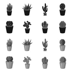 Vector design of cactus and pot icon. Collection of cactus and cacti stock vector illustration.