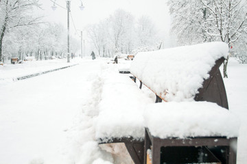 Park with Bench covered with Snow