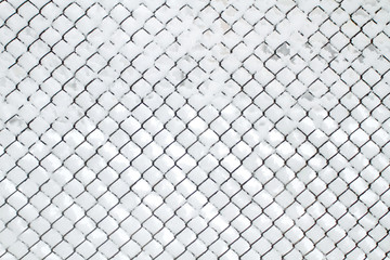 Fototapeta premium Snow-covered Rabitz grid