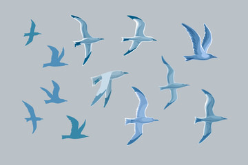 Sea gulls vector set