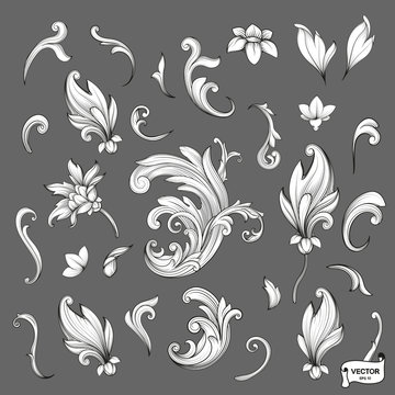 Set Of Element Baroque Engraving Floral Scroll