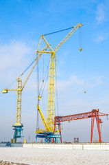 Fototapeta na wymiar Sevefal tower cranes. gantry cranes against the blue sky. Russia