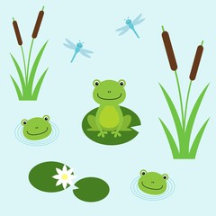 Tree frogs with lily and dragonflies. Illustration for children. Flat design style.