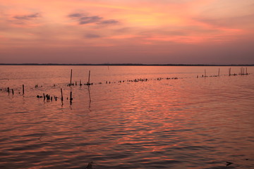 The sea and the sunset, colorful at Don Hoi lot. Samut songkhram province. Country Thailand - Image   