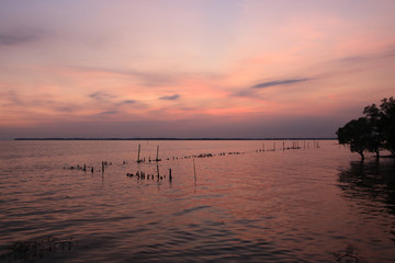 Fototapeta na wymiar The sea and the sunset, colorful at Don Hoi lot. Samut songkhram province. Country Thailand - Image 