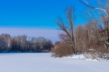 The shore of a forest frozen lake covered with snow - a beautiful winter landscape