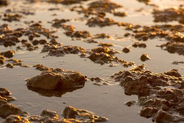 Small rocks in the sea at sunset