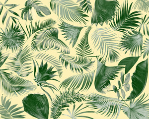 Fototapeta premium tropical frond palm leaf for summer background