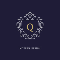 Capital letter Q. Beautiful monogram. Elegant logo. Calligraphic design. Luxury emblem. Vintage ornament. Simple graphics style. Flourishes boutique brand. Creative Royal mark. Vector illustration