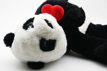 Black and White Panda Holds Red Heart