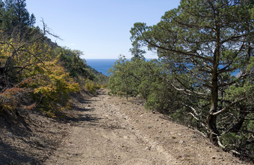 Dirt road on the mountainside.