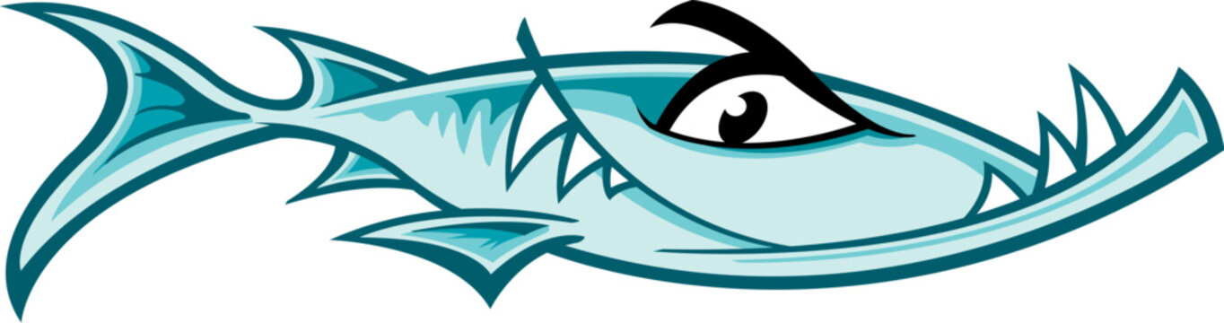 Barracuda