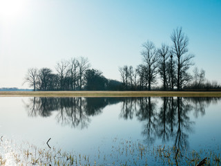 Rain lake in the field. Early spring