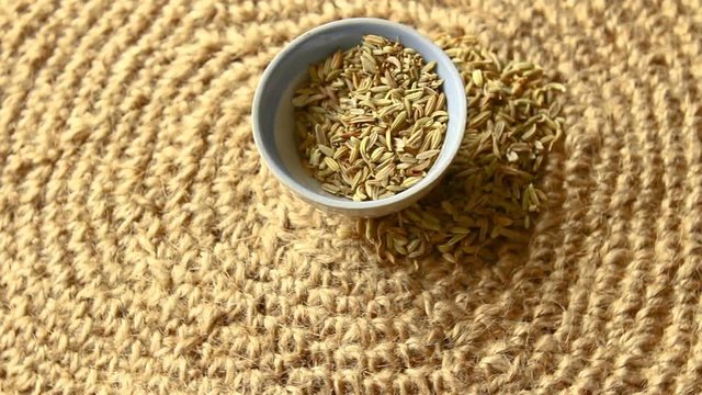 Fennel. Spices for cooking, slow motion.