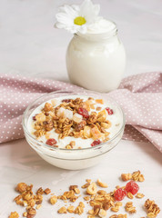 Fototapeta na wymiar Natural yoghurt with granola nuts and dried fruits. natural healthy food.