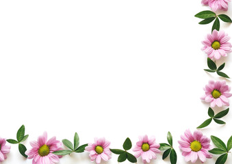 Spring Background With Pink Daisies And Green Leaves