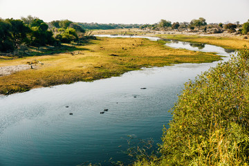 Gruppe von Flusspferden in einem Fluss bei Sonnenuntergang, Makgadikgadi Pans Nationalpark, Botswana