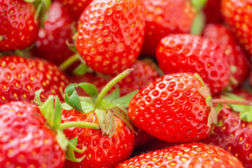 Fresh organic Strawberry fruit background Top view closeup