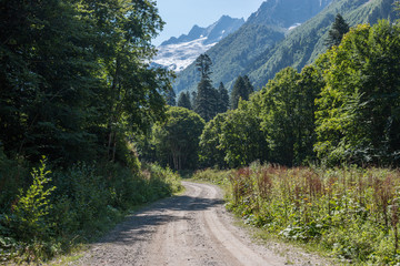 Obraz premium View forest scenes in national park Dombai, Caucasus, Russia, Europe