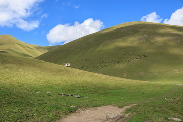 Closeup view mountains scenes in national park Dombai, Caucasus, Russia, Europe