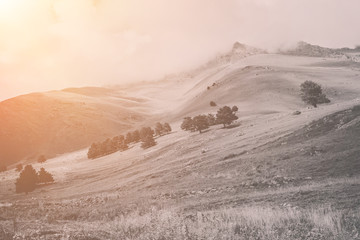 Closeup forest and mountains scenes in national park Dombai, Caucasus, Russia