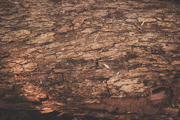 wooden texture background