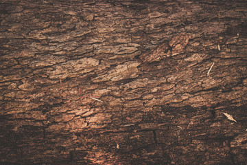 wooden texture background