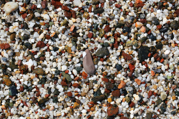 colorful stones on the beach