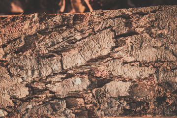 wooden texture background