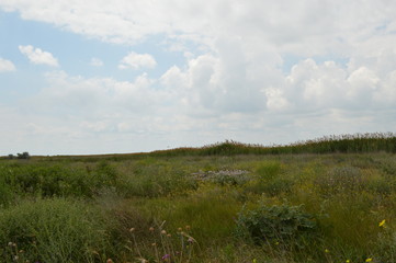 Obraz premium landscape with river and clouds
