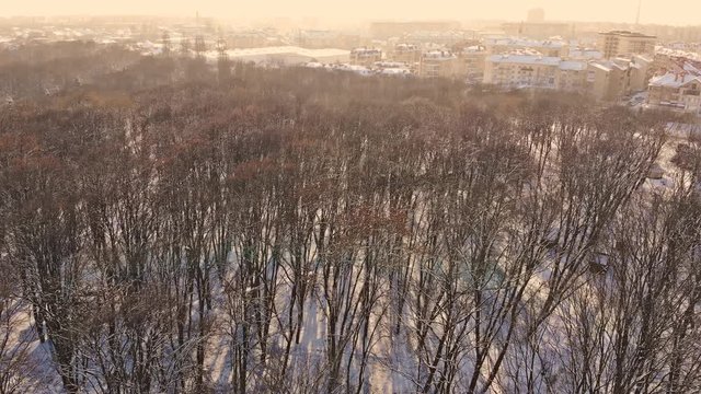 View from above on a winter forest on a cold sunny day forest covered with snow