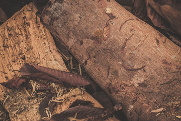 wooden texture background