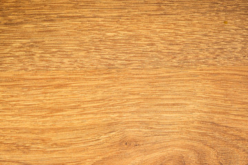 tree structurer (wood surface and drawing). background. top image