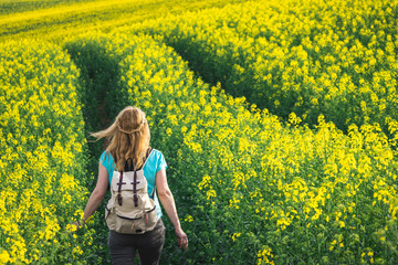 Fototapeta premium Hiking woman with backpack walking in blooming oilseed field