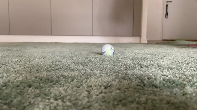 Golfer Training Golf Swing Barefoot with the Golf Ball in Living Room in Switzerland.