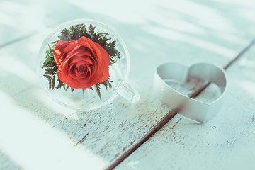 Red rose in a glass of water for love valentine's day