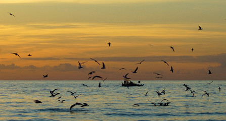 seagulls and boat on the sea