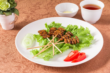 Insect foods set