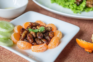 Insect foods set